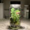 Make a Glass Jar Monster Garden Creative Reset image 2